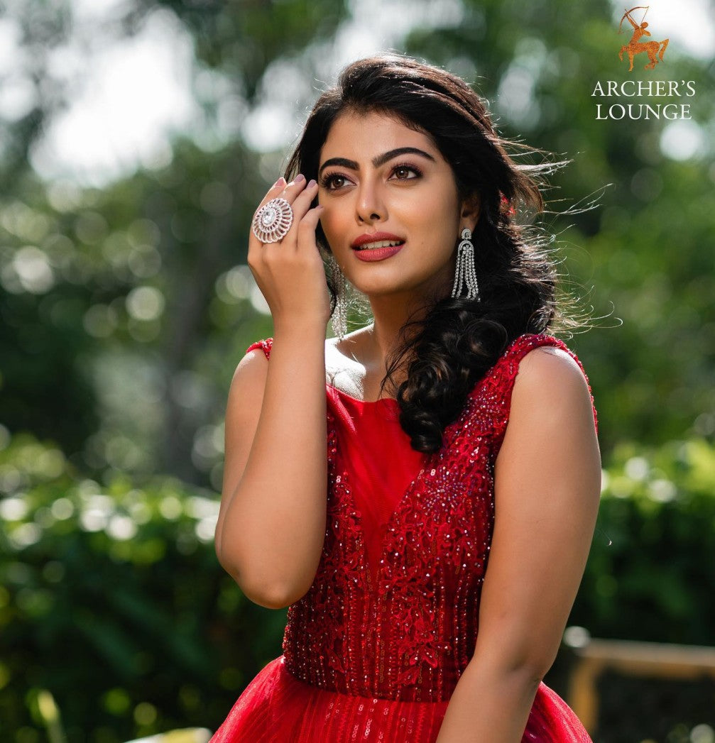 Barn Red Tulle Gown Self  Stone Hand Embroidery