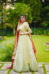 Pastel Green/ Red Bridal Lehenga Detailed with Light Gold Embroidery