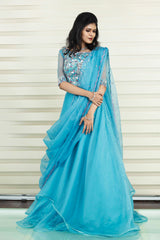 Baby Blue Lehenga Detailed with Multi Color Sequence Embroidery